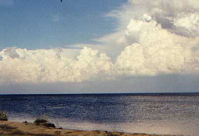 Lake of the Woods scenic view